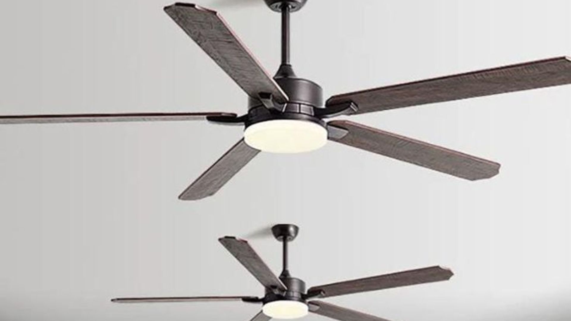 Innovative Design Fans
