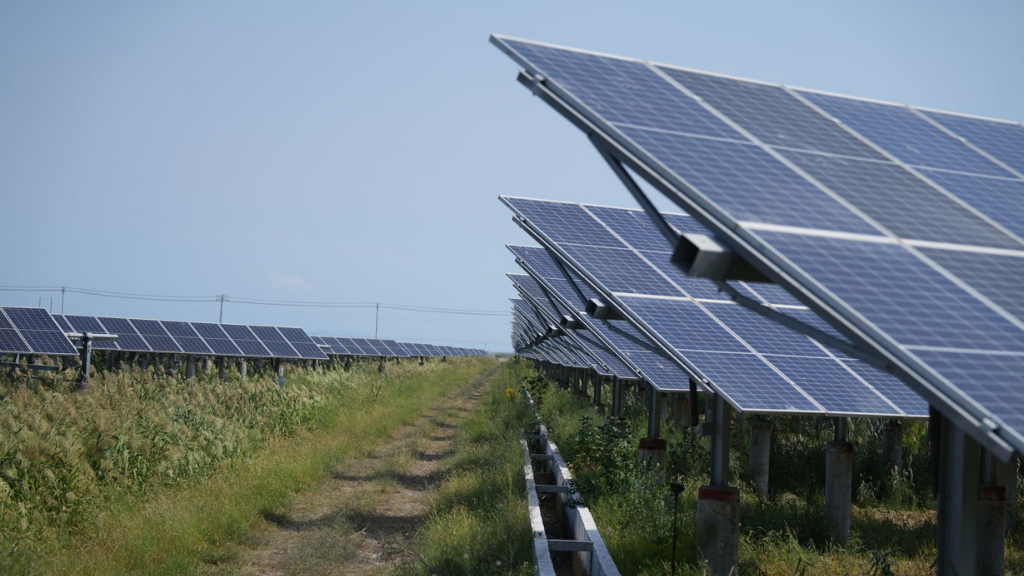 Intelligent Renewable Energy