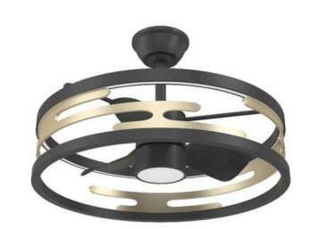 Designer Fan